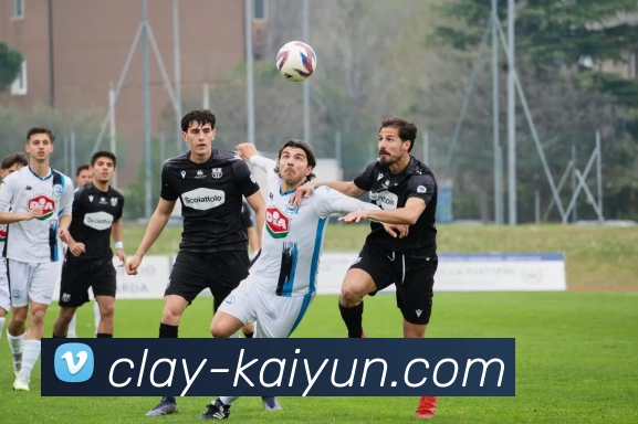 开云官网服务体系