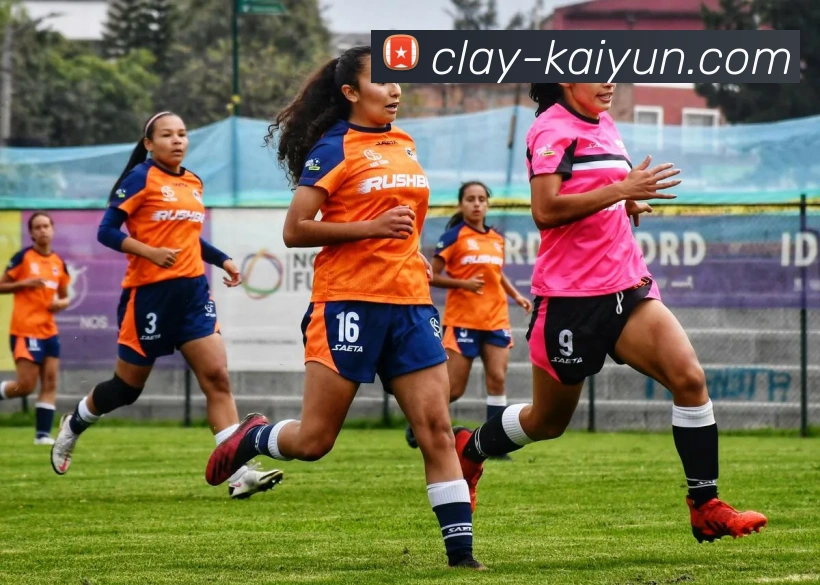 开云官网APP 体育赛事宣传图